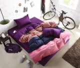 Rainbow Romance Purple Modern Bedding Teen Bedding