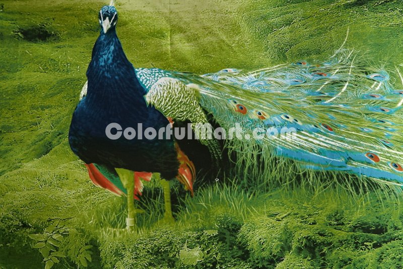 Peacock Green Bedding 3d Duvet Cover Set - Click Image to Close