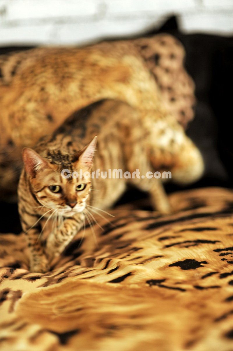 Leopard Cheetah Print Bedding Sets - Click Image to Close