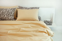 Korean Style Cinnamon Zebra Print Bedding Set
