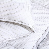 Aries White Comforter Down Alternative Comforter Cheap Comforter Kids Comforter