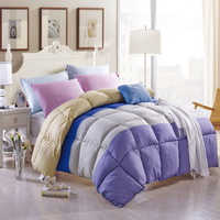 Sweet Love Violet Comforter Teen Comforter Kids Comforter Down Alternative Comforter