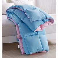 Blue And Pink Comforter Down Alternative Comforter Kids Comforter Teen Comforter