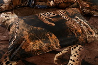 Leopard Brown Bedding 3d Duvet Cover Set
