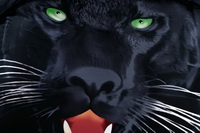 Panther Black Bedding 3d Duvet Cover Set