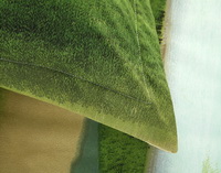 Zebra Green Bedding 3D Duvet Cover Set