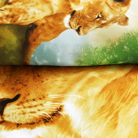 Gift Ideas Lionesses Green Bedding Sets Teen Bedding Dorm Bedding Duvet Cover Sets 3D Bedding Animal Print Bedding