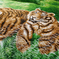 Gift Ideas Tigers Green Bedding Sets Teen Bedding Dorm Bedding Duvet Cover Sets 3D Bedding Animal Print Bedding