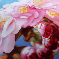 Peach Blossoms Blue Bedding Sets Duvet Cover Sets Teen Bedding Dorm Bedding 3D Bedding Floral Bedding Gift Ideas