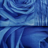 Roses Blue Bedding Sets Duvet Cover Sets Teen Bedding Dorm Bedding 3D Bedding Floral Bedding Gift Ideas