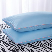 Zebra Print Blue Bedding Set Duvet Cover Pillow Sham Flat Sheet Teen Kids Boys Girls Bedding