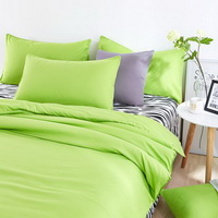 Zebra Print Green Bedding Set Duvet Cover Pillow Sham Flat Sheet Teen Kids Boys Girls Bedding