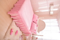 Rose Pink Princess Bedding Girls Bedding Women Bedding
