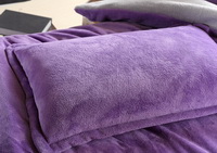 Purple And Silver Gray Coral Fleece Bedding Teen Bedding