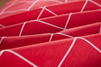 Modern Grids Red And Blue Teen Bedding Duvet Cover Set